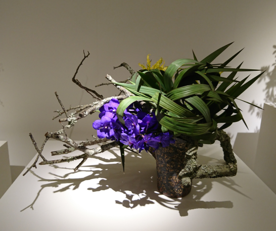 苔梅って何に？いけばなによく使われています | いけばなライフ・Mirinegi