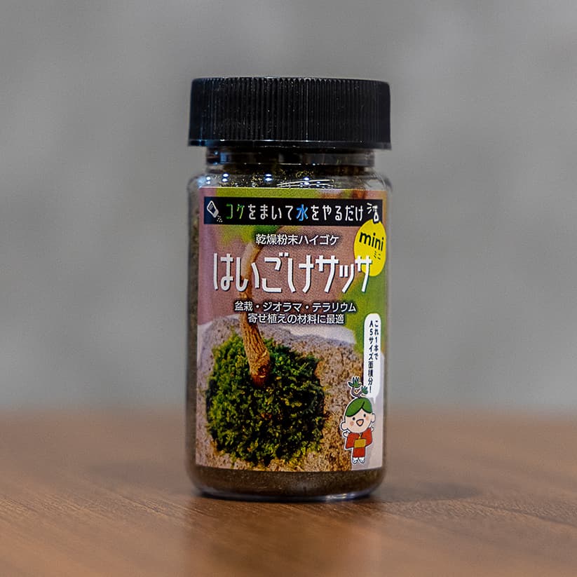 お手頃価格】はいごけサッサmini-生やしたいところにサッと撒いて水を
