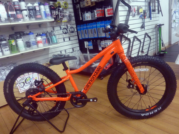 キャノンデール トレイル プラス 太いタイヤのキッズ車！ - サンワ