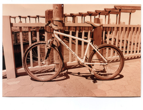 BROOKLYN MACHINE WORKS PARK BIKE | W-BASE | BMX, PISTバイクを扱う