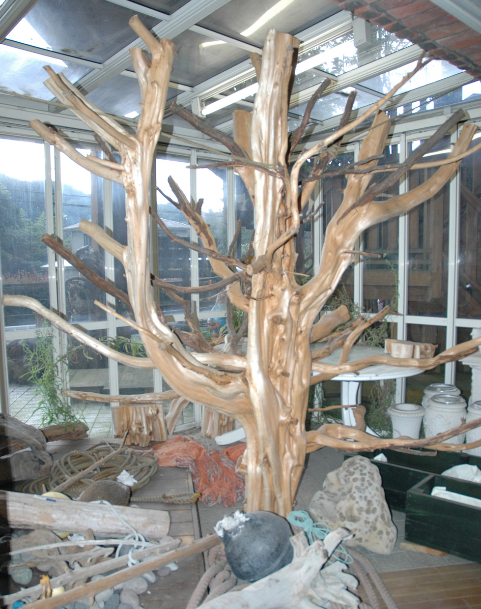 流木屋ノーム | 流木ツリー