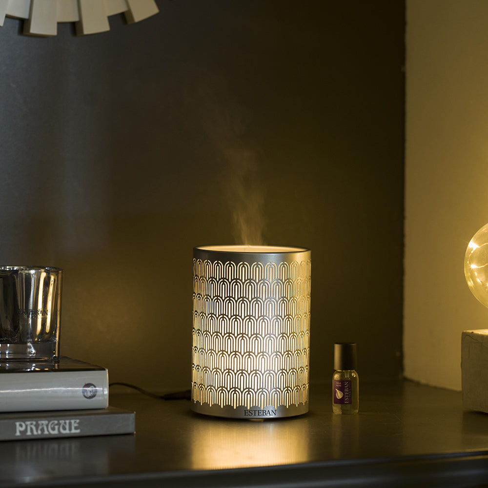 パフュームミスト ディフューザー ライト&シルバー – ESTEBAN
