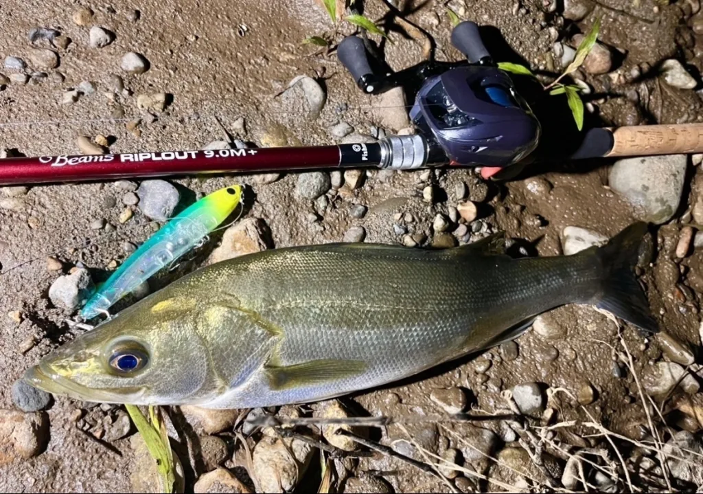 目指したのは究極の汎用性】1本であらゆるシチュエーションを攻略する