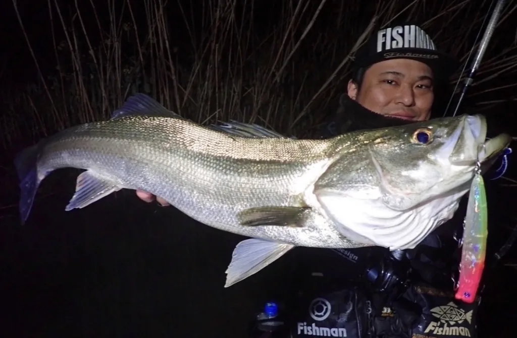 目指したのは究極の汎用性】1本であらゆるシチュエーションを攻略する