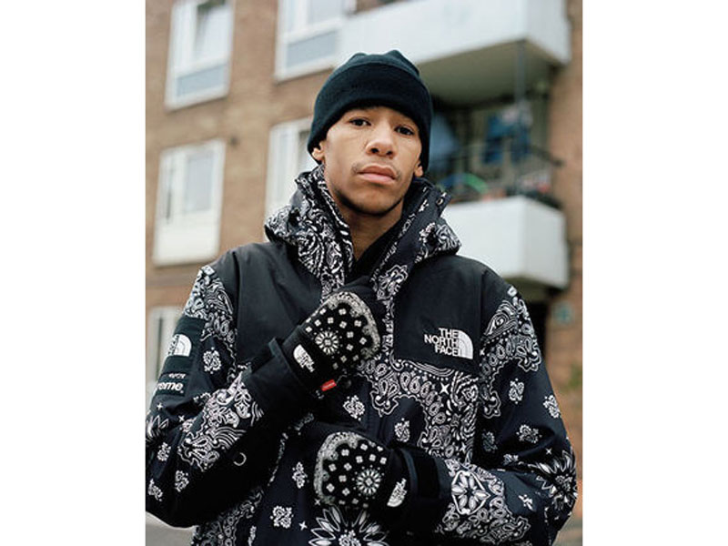 Supreme×THE NORTH FACE 'TNF Bandana Mountain Parka'バンダナ