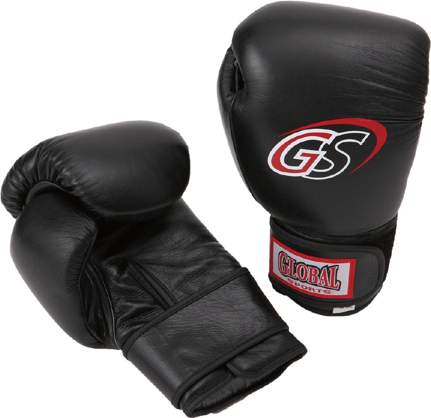 Boxing Glove｜グローバル・スポーツ・ニシャト・トレーディング