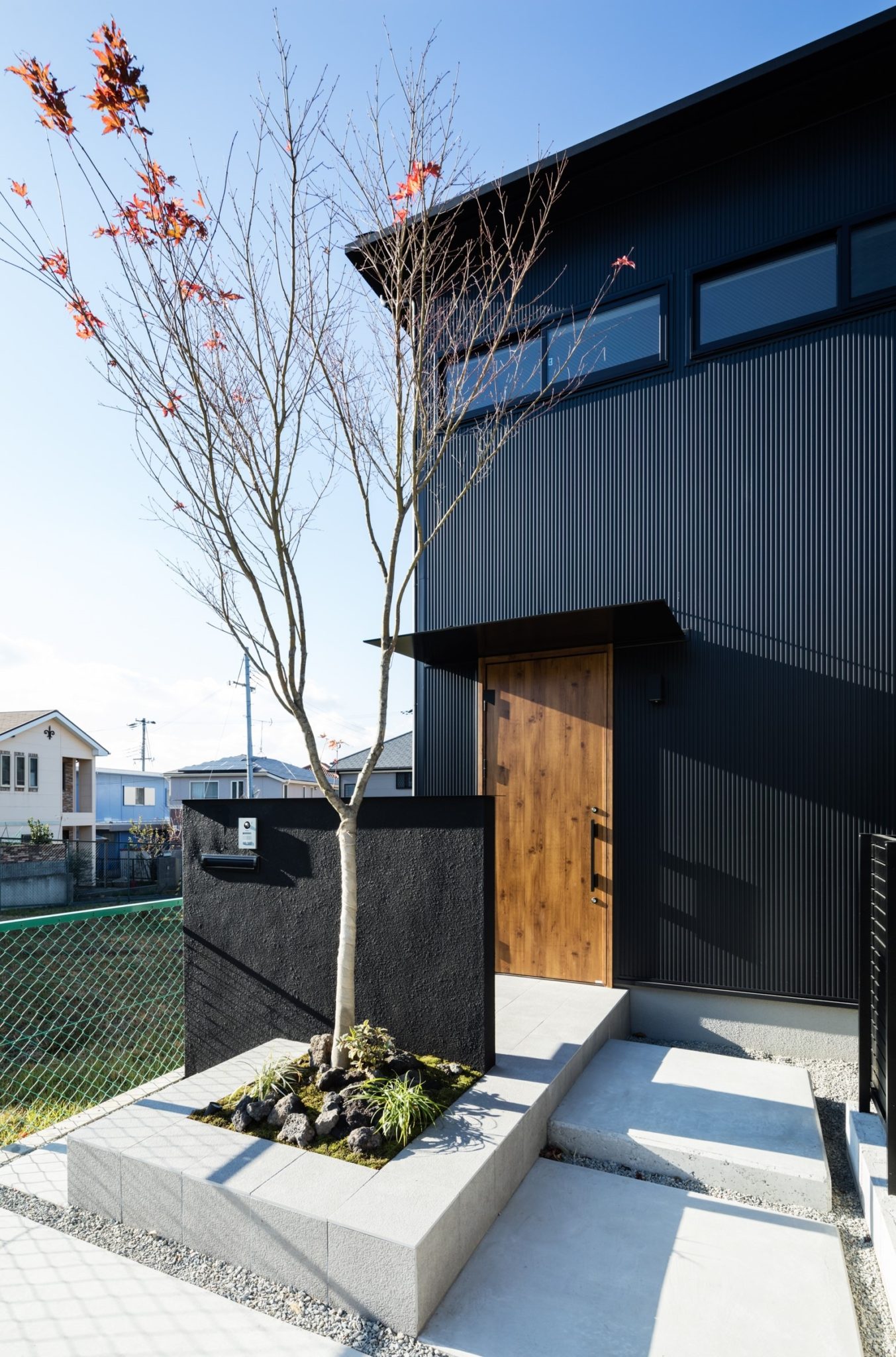 山採り ヤマモミジ 山採り 山もみじ 01 山採りヤマモミジ