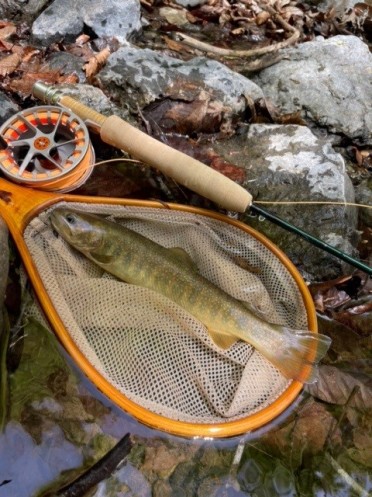 WINSTON（ウィンストン フライロッド）、ピュアの763-4がお嫁に行き