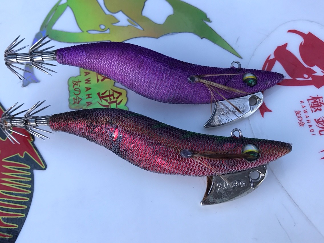 真鶴へ今年絶好調のティップランエギングへ!! | 宮澤幸則