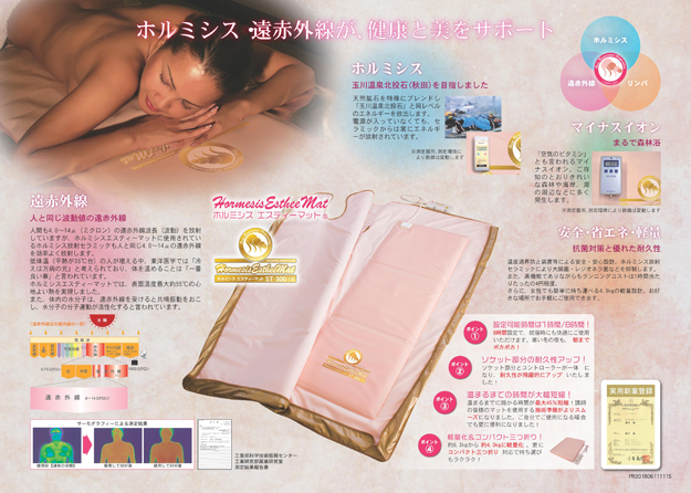 ピュアルネッサンスホルミシスマットST-240&カバー ピュアルネッサンス