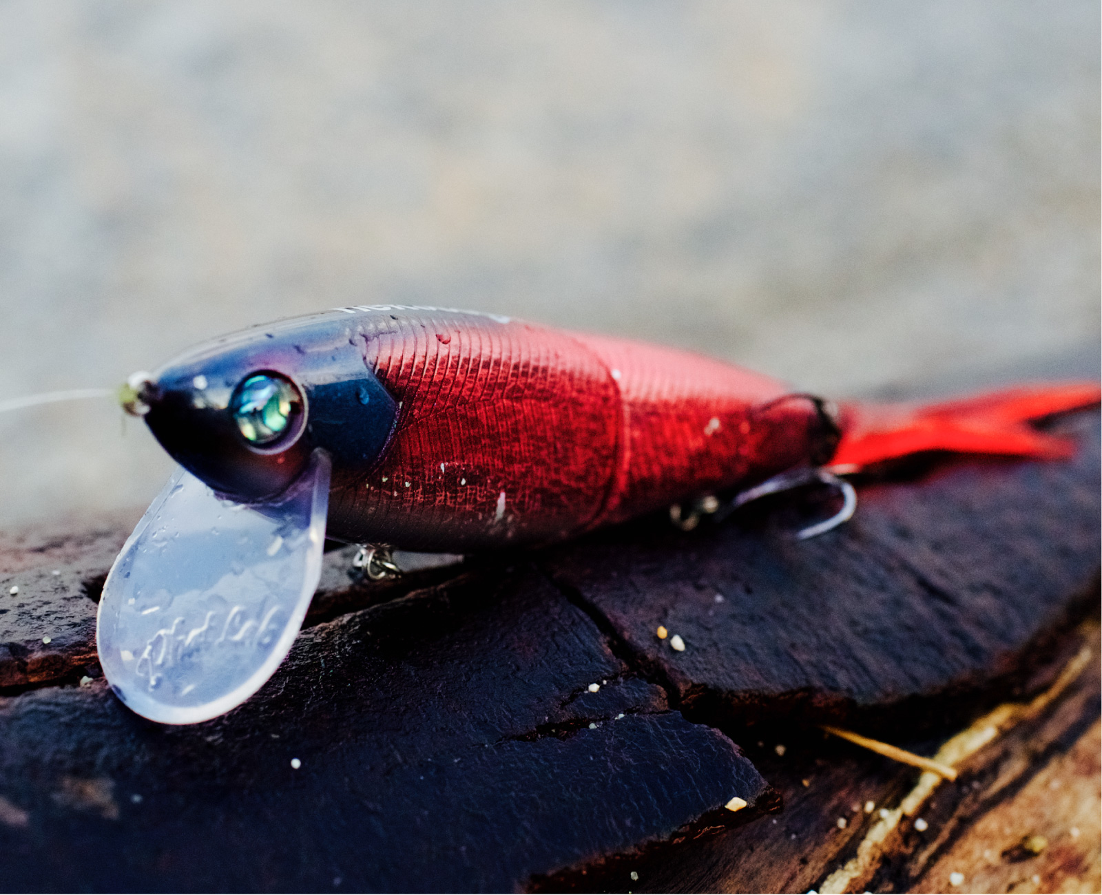 Nekosogi DSR｜Phat Lab. – ファット・ラボ