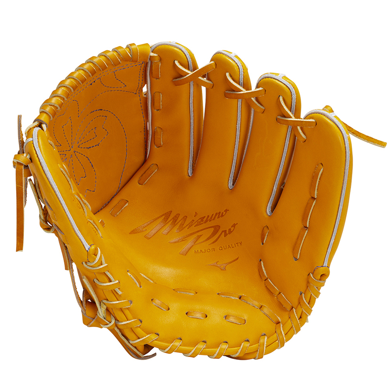 硬式用ミズノプロ 投手用(ヨコ型) 1AJGH31201