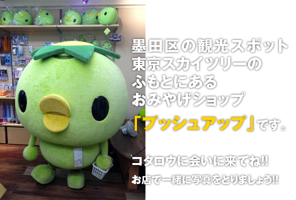 カッパのコタロウのおうち「プッシュアップ」 | カッパのコタロウとは