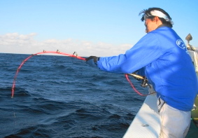 大阪のステラフィッシングが、厳選した大物釣具を全国へお届けいたし