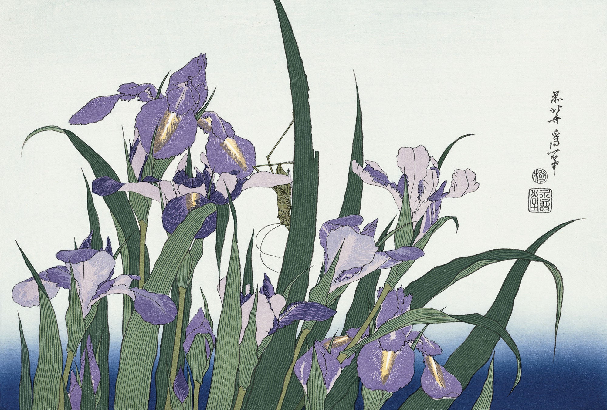 Katsushika Hokusai（葛飾北斎） Blossoming Irises and Grasshopper