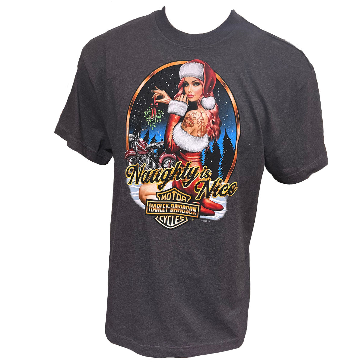 Harley-Davidson Men's Christmas Naughty Is Nice Short Sleeve Shirt