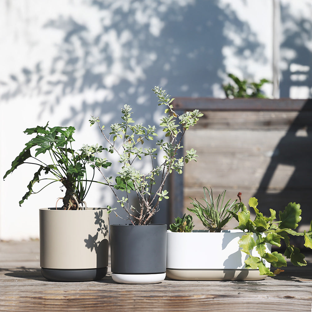 リサイクルの輪が未来を育む 100%リサイクルポット SGI（エスジーアイ