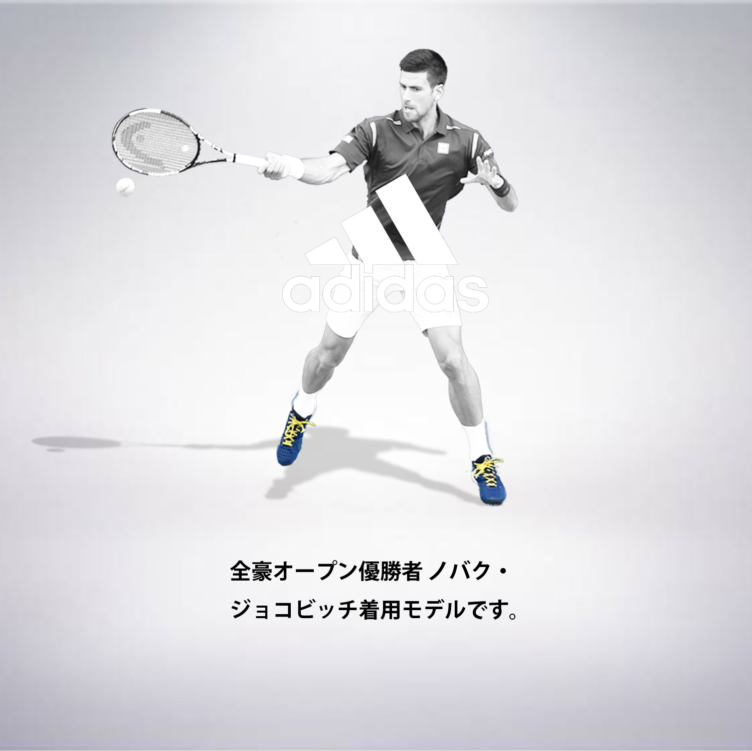 2016adidasシューズ特集｜ 総合テニス専門サイト-テニス365