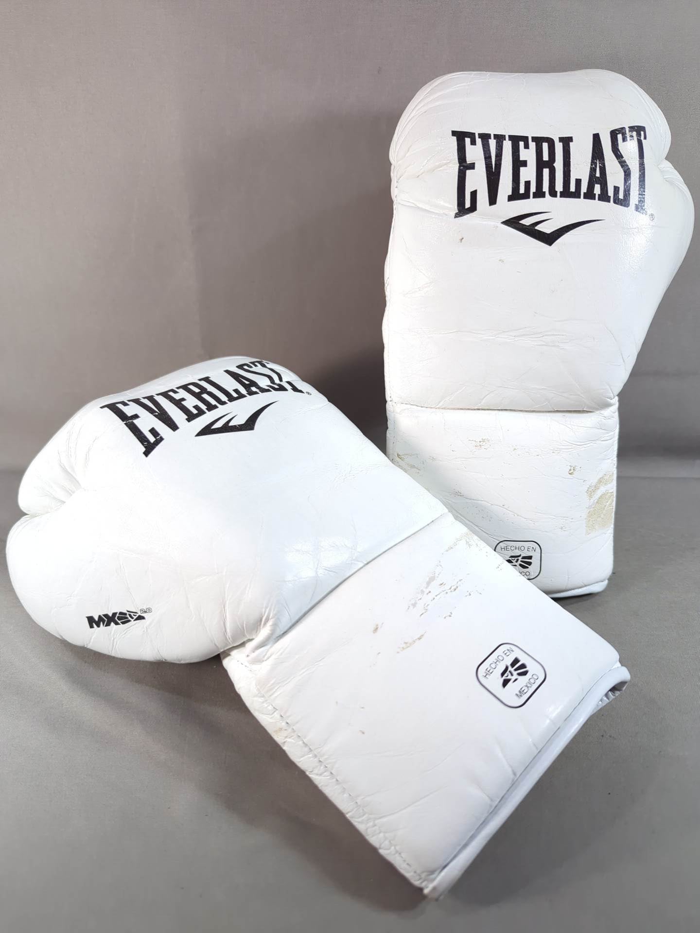 EVERLAST MX2 Fight Gloves – 闘道館