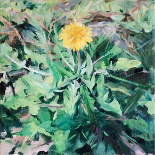 ground -たんぽぽ-ground -dandelion-|今関絵美Emi Imazeki