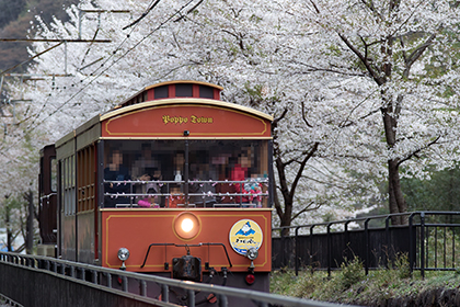 碓氷峠鉄道文化むら＜さよなら碓氷峠＞