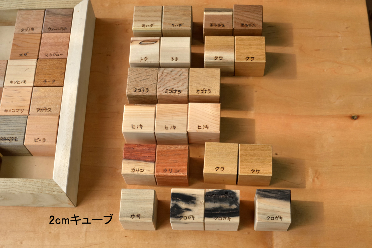 木の見本・樹種サンプル