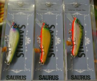 ザウルストラウト