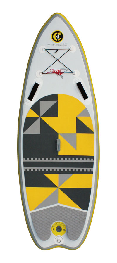 iSUPs | C4 Waterman Japan