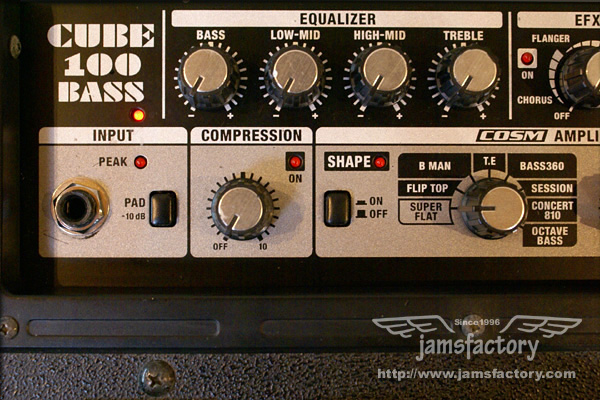 楽器レンタル Roland CUBE100 BASS