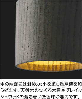 Koizumi コイズミ照明 ペンダント AP53980 | 商品情報 | LED照明器具の