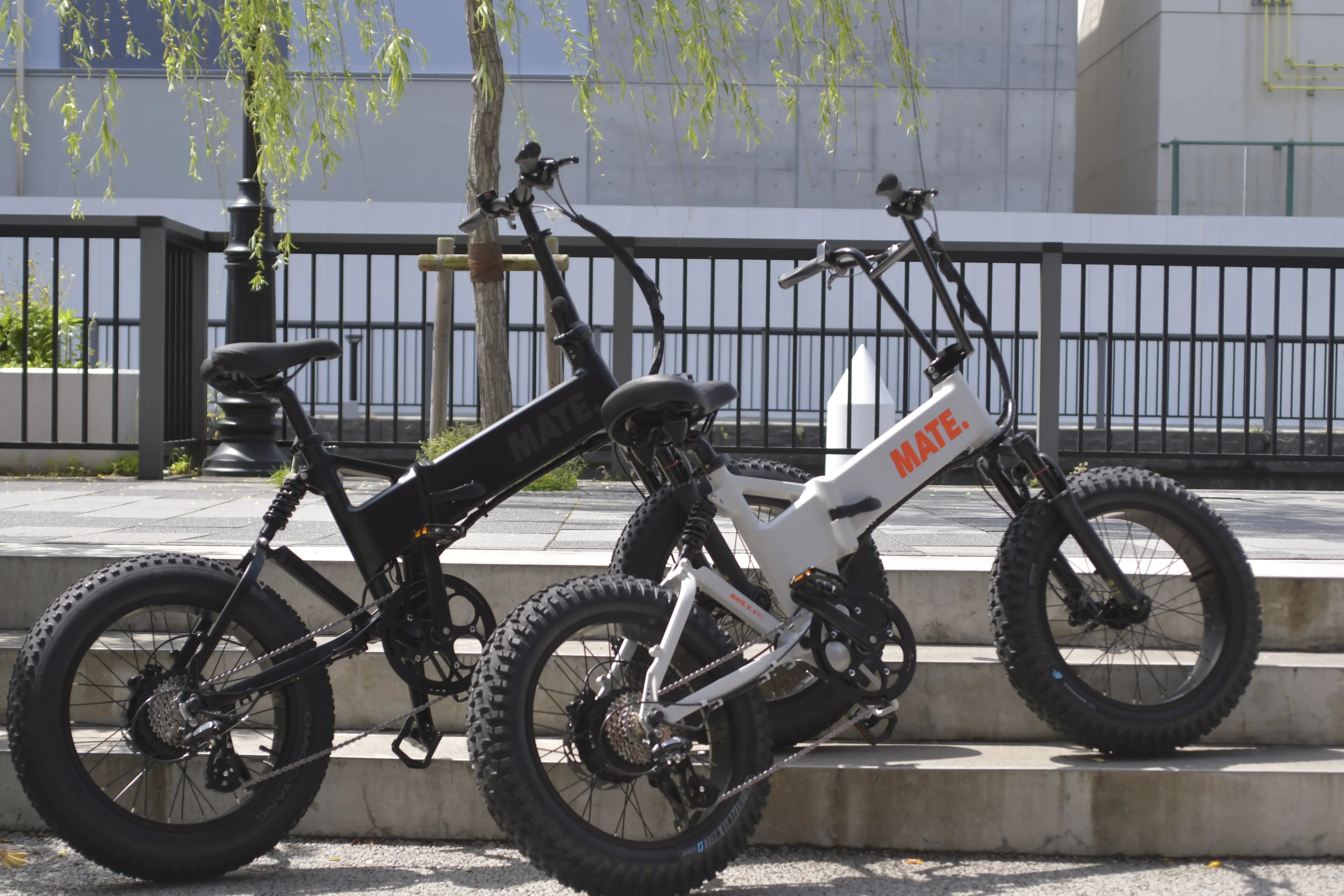 MATE X EVO入荷！】進化ポイントとMATE Xとの違いとは？ – LSB-TOKYO