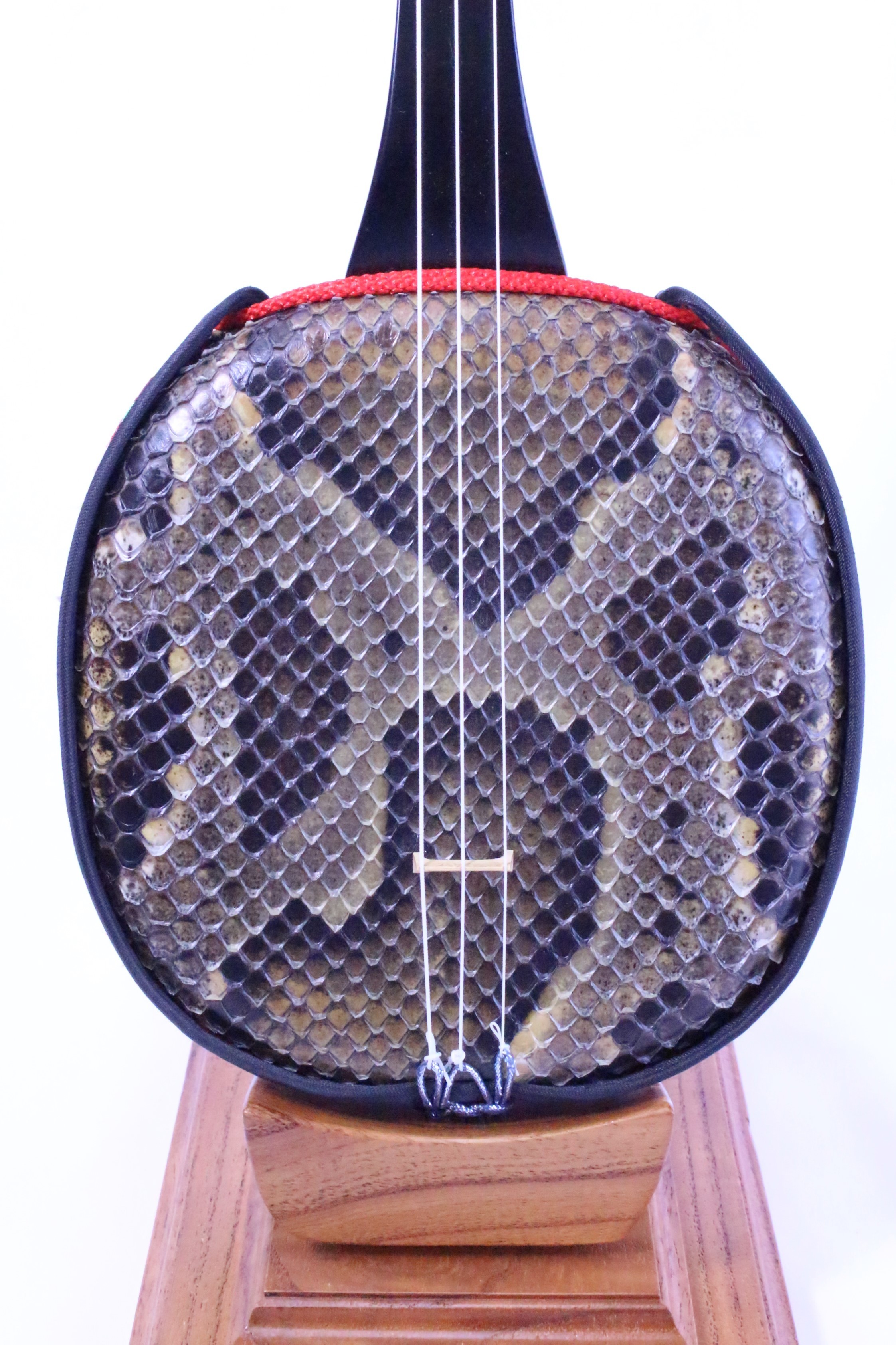 三線 蛇皮 バチ 竹ウマ ハードケース セット