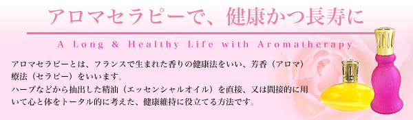 ランプベルジェ アロマオイル【青りんご】1000ml【A1301】 1000ml