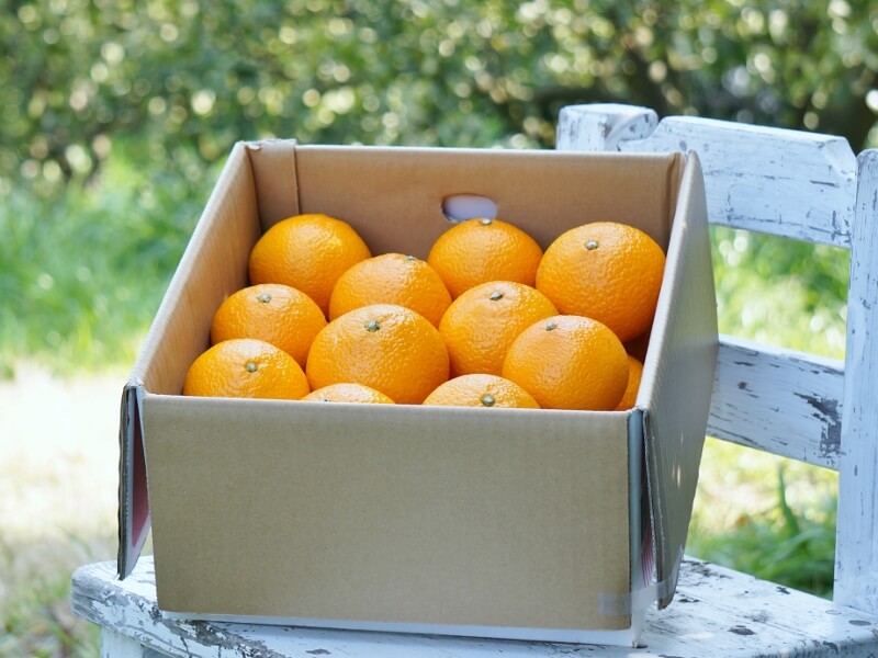 商品とショップ | 早津みかん園