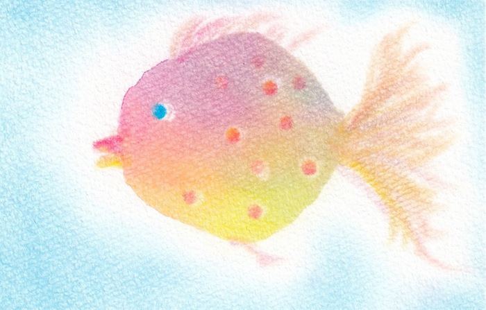 インストラクター研修会『オーロラ色の空』を開催しました | 3色