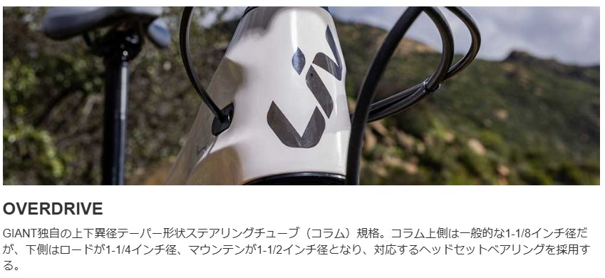 LIV(リブ) AVAIL AR4(アベイル エーアール4) 2025年モデル 当店販売