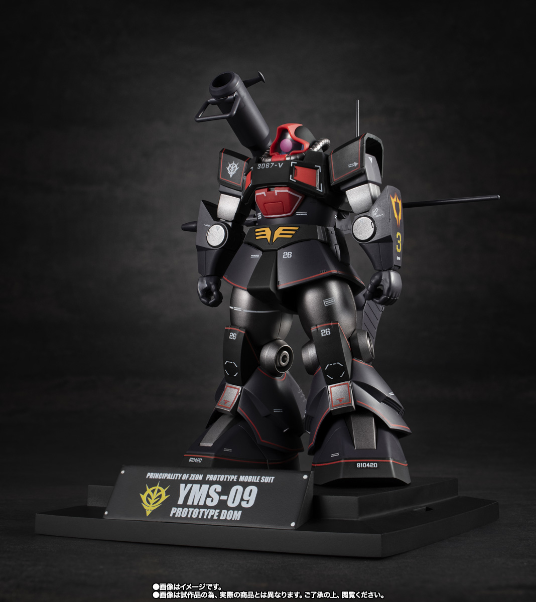 ROBOT魂 ＜SIDE MS＞ YMS-09 プロトタイプ・ドム ver. A.N.I.M.E. ～MS
