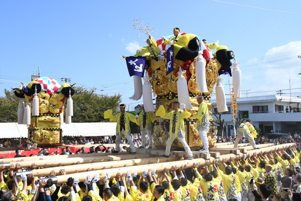 shintairiku』太鼓台 津根太鼓台