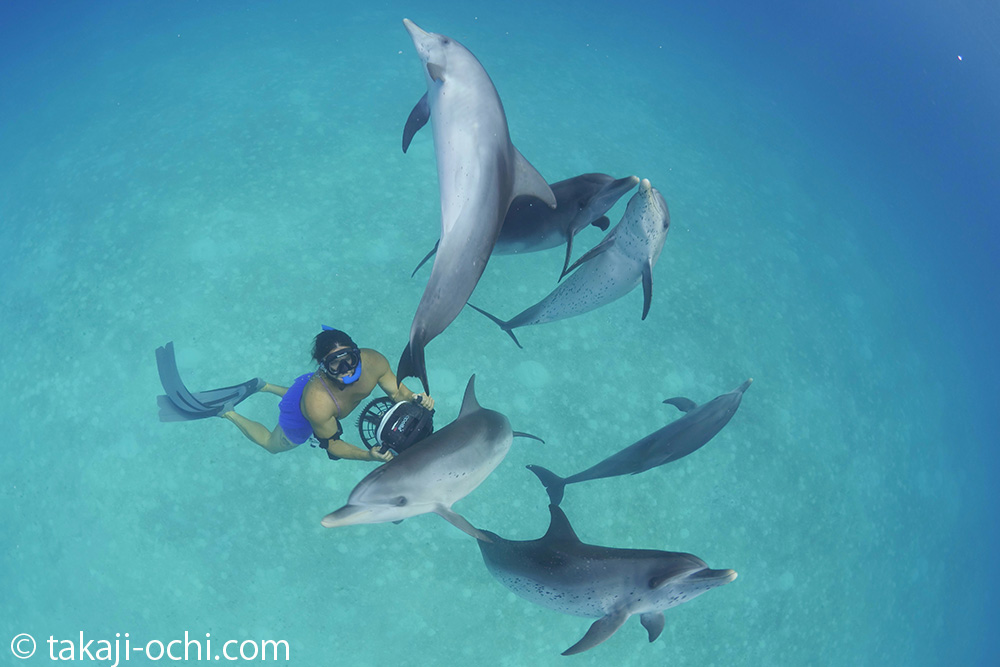 2019 年into the blue バハマドルフィンクルーズweek2 終了しました