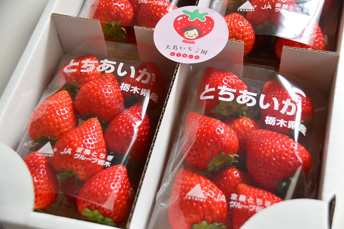 高根沢町「大島いちご園」さんのいちご｜たかマガ