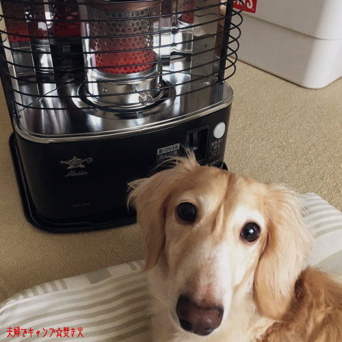 アラジン 石油ストーブ AKP-S248 2021年製 ブラック　アダプター付き アラジン 石油ストーブ AKP-S248 2021年製 ブラック アダプター付き