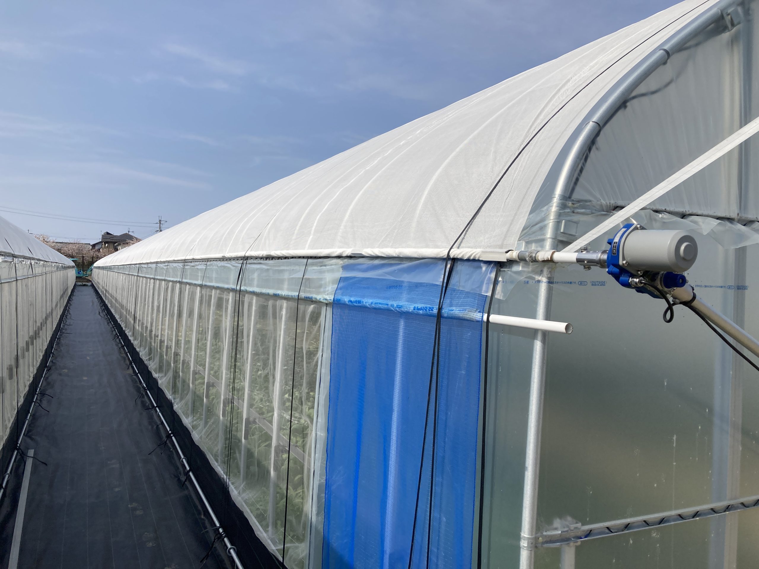 パイプハウス向け簡易開閉外部遮光（涼感ホワイト） | 商品紹介