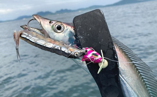 コスパ最高】ライトジギングロッド|シマノ GRAPPLER BB S632のご紹介