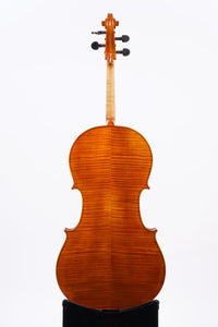 DSC05301_300x300.jpg?v=1729744885