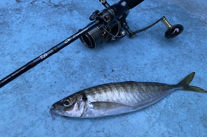 最強オモリグロッド!?エメラルダスEXイカメタル OR63MLS-SMTTを