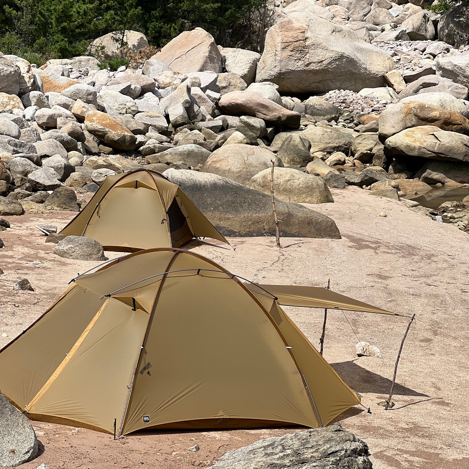 Stars 3 – THE FREE SPIRITS