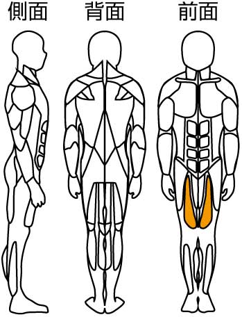 蹴り上げ訓（鍛錬マシン/コンディショニングラインシリーズ）