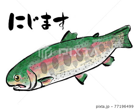 水彩画風ニジマスと筆文字のイラスト素材 [77196499] - PIXTA
