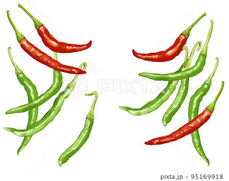 手描き水彩の赤唐辛子と青唐辛子イラストワンポイントセットのイラスト