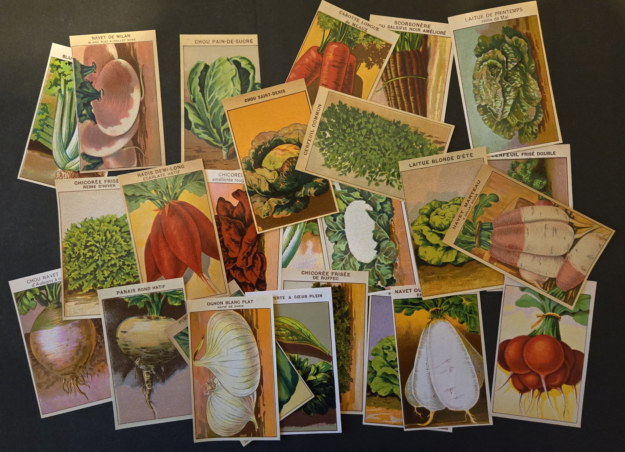 Vintage Seed Packets 1900-1940 – Page 4 – thelabelman